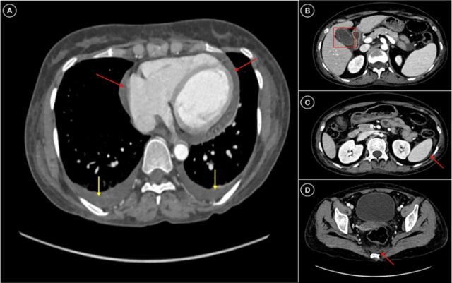 Figure 1.