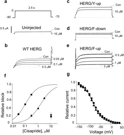 Fig 2.