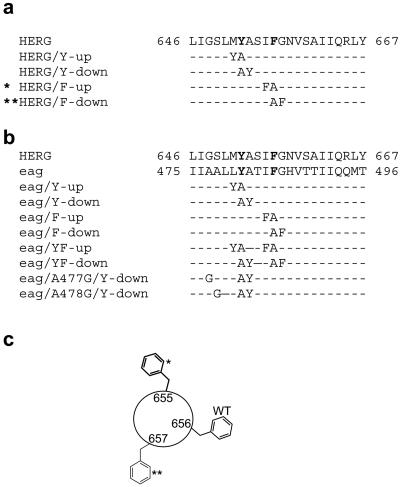 Fig 1.