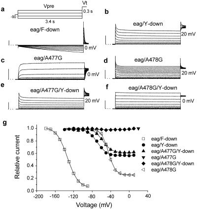 Fig 4.