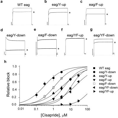 Fig 3.