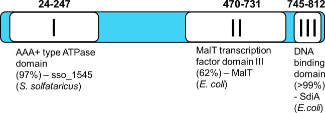 Fig 5