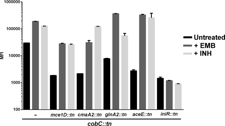 Fig 3