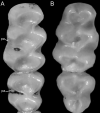 Figure 26