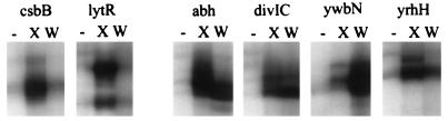 FIG. 6