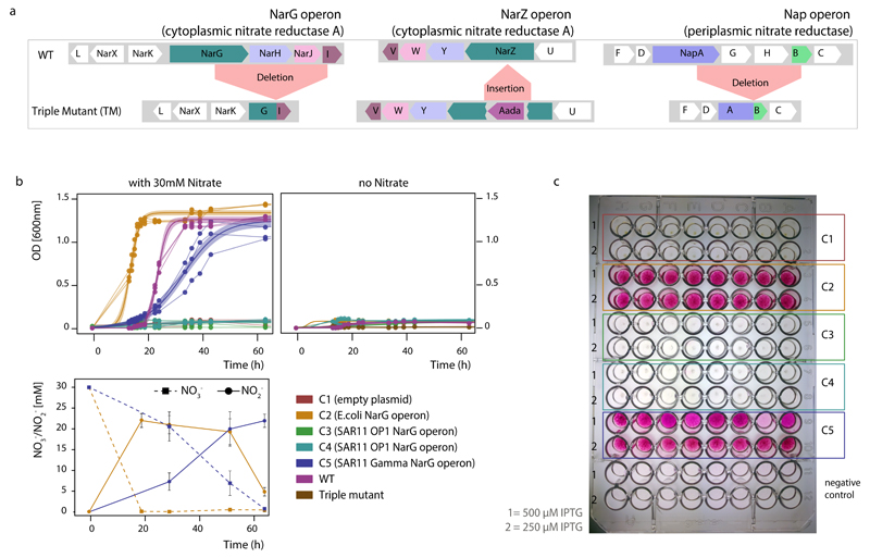 Extended Data Figure 5