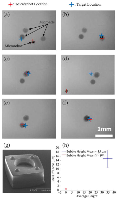 Fig. 9