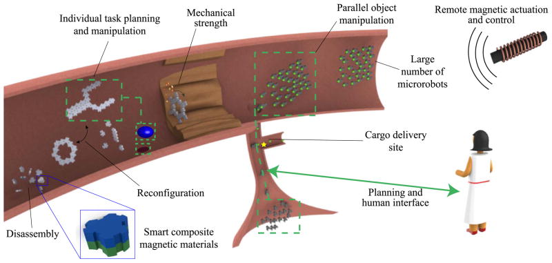 Fig. 12