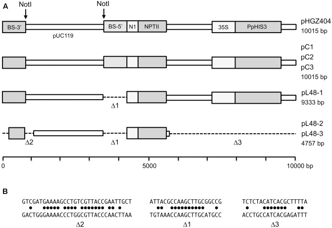 FIGURE 14