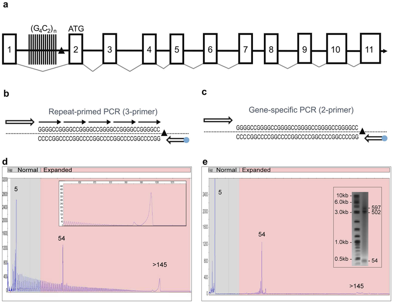 Figure 1: