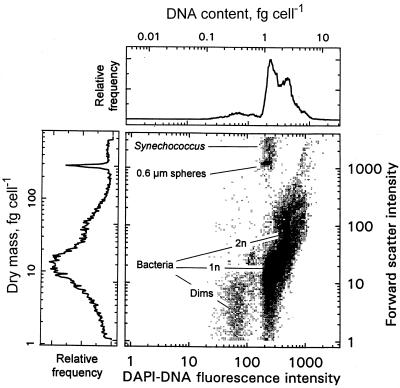 FIG. 7