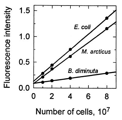 FIG. 5