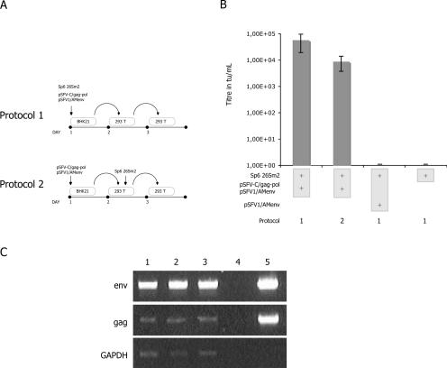 FIG. 2.