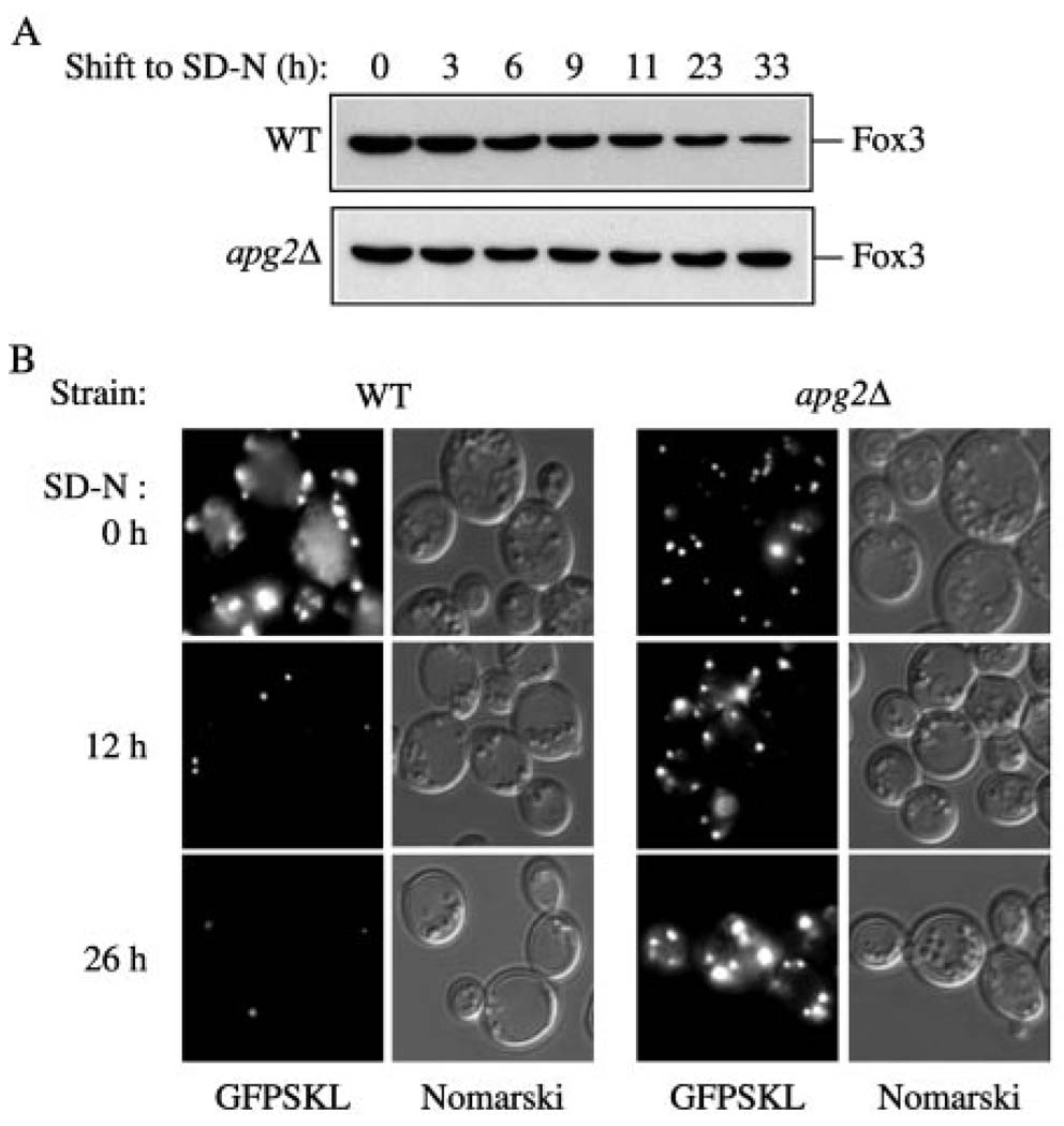 FIG. 8