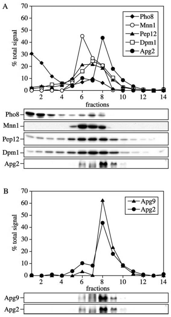 FIG. 6