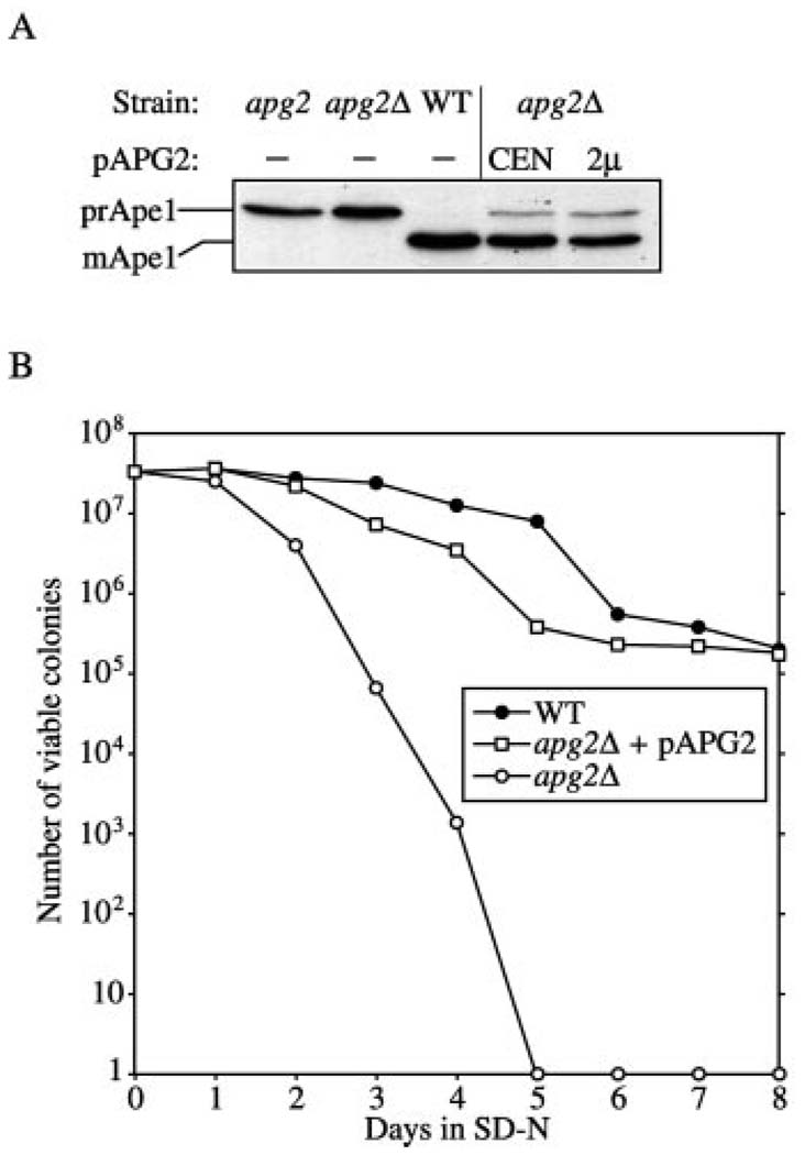 FIG. 1