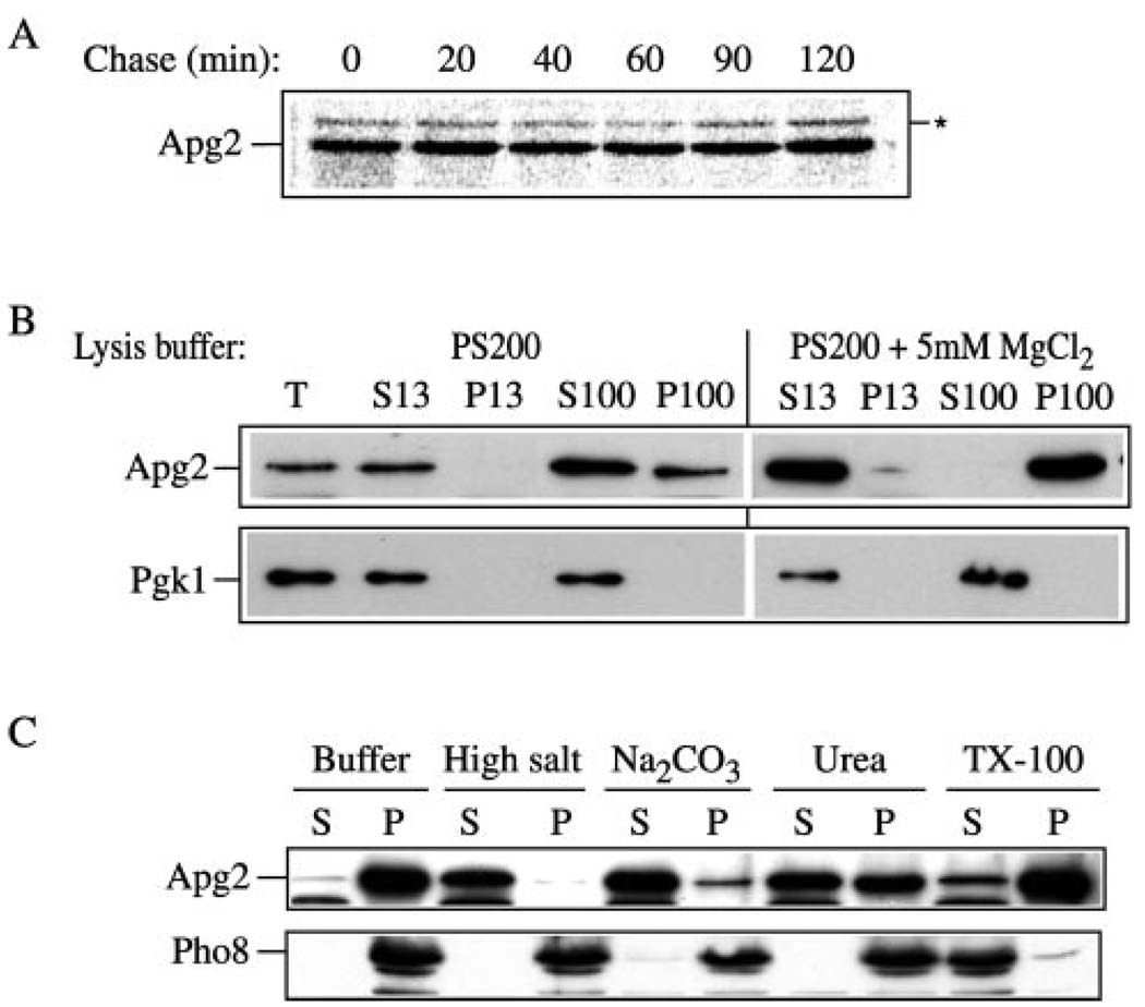 FIG. 4