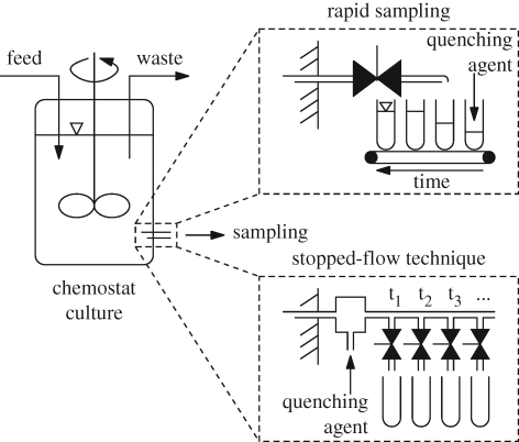 Figure 3.