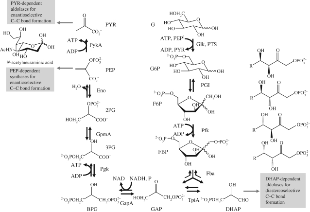 Figure 1.