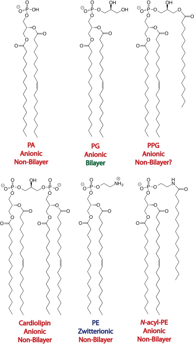 FIG 2