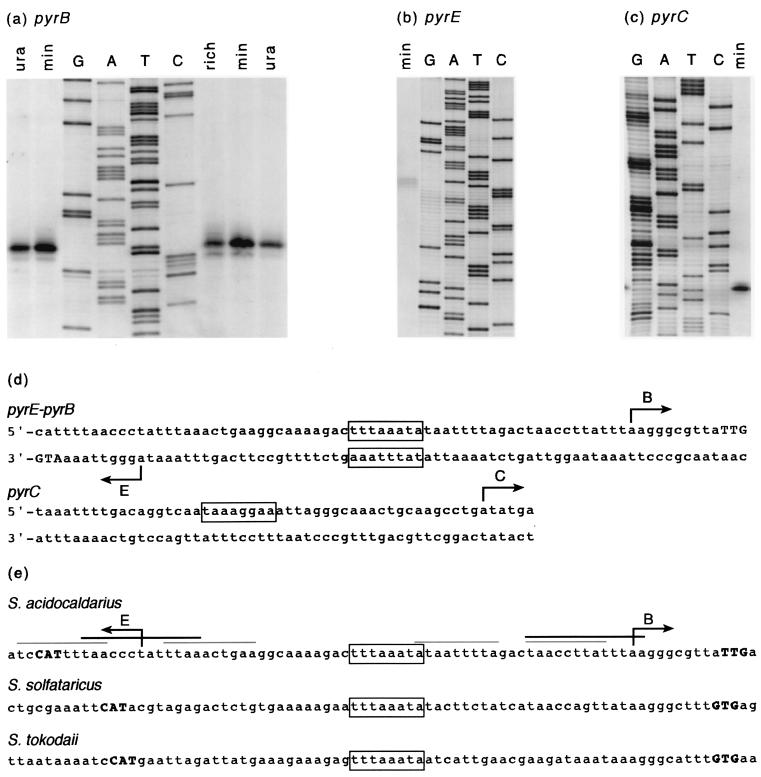 FIG. 5.