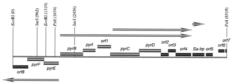 FIG. 2.