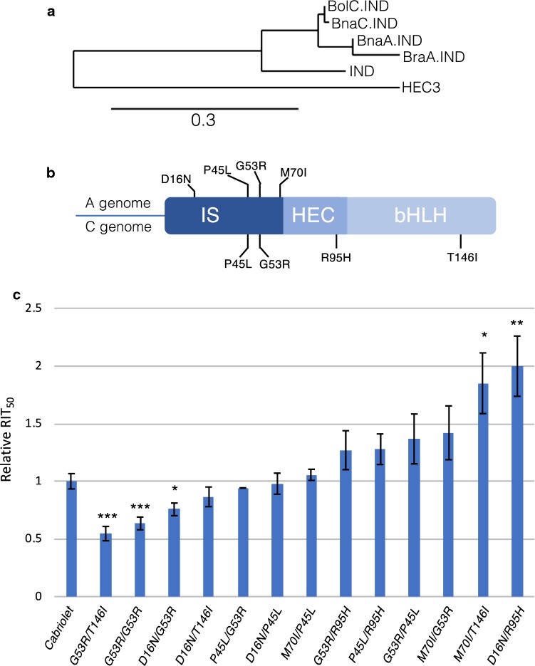 Fig. 3