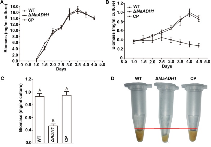 FIGURE 3