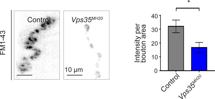 Figure 2—figure supplement 1.