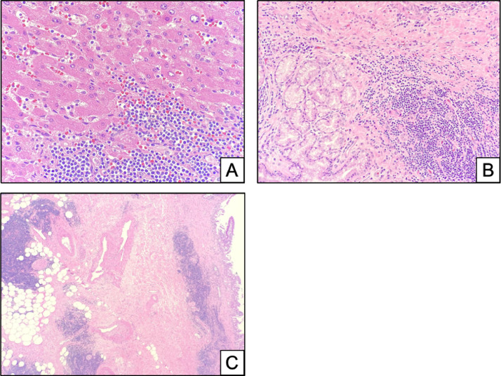 Fig 9