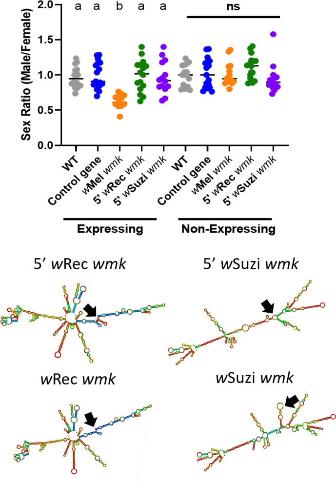 Figure 2—figure supplement 1.