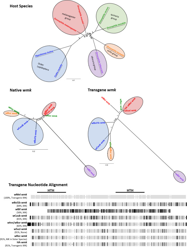 Figure 1—figure supplement 1.