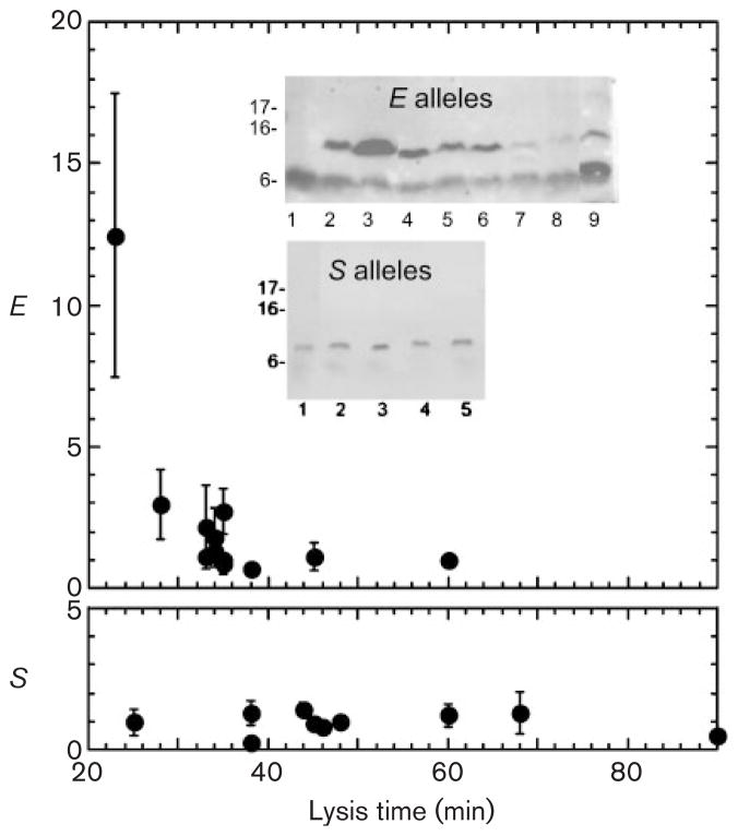 Fig. 5