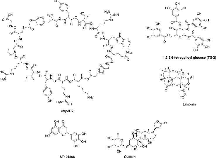 Fig. 7