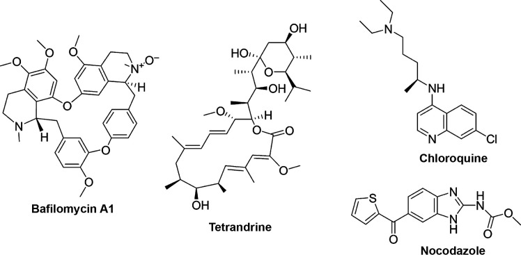 Fig. 2