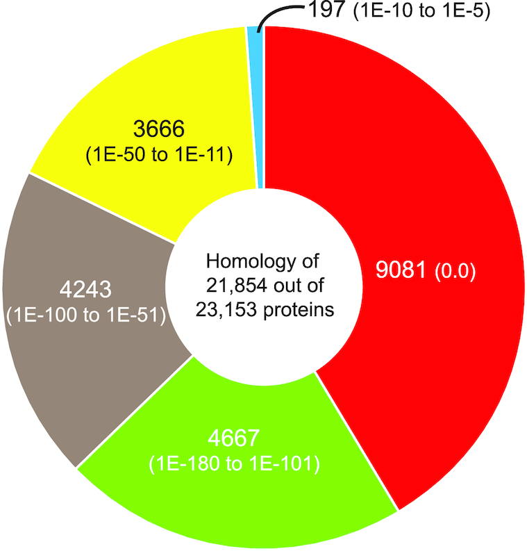 Figure 3: