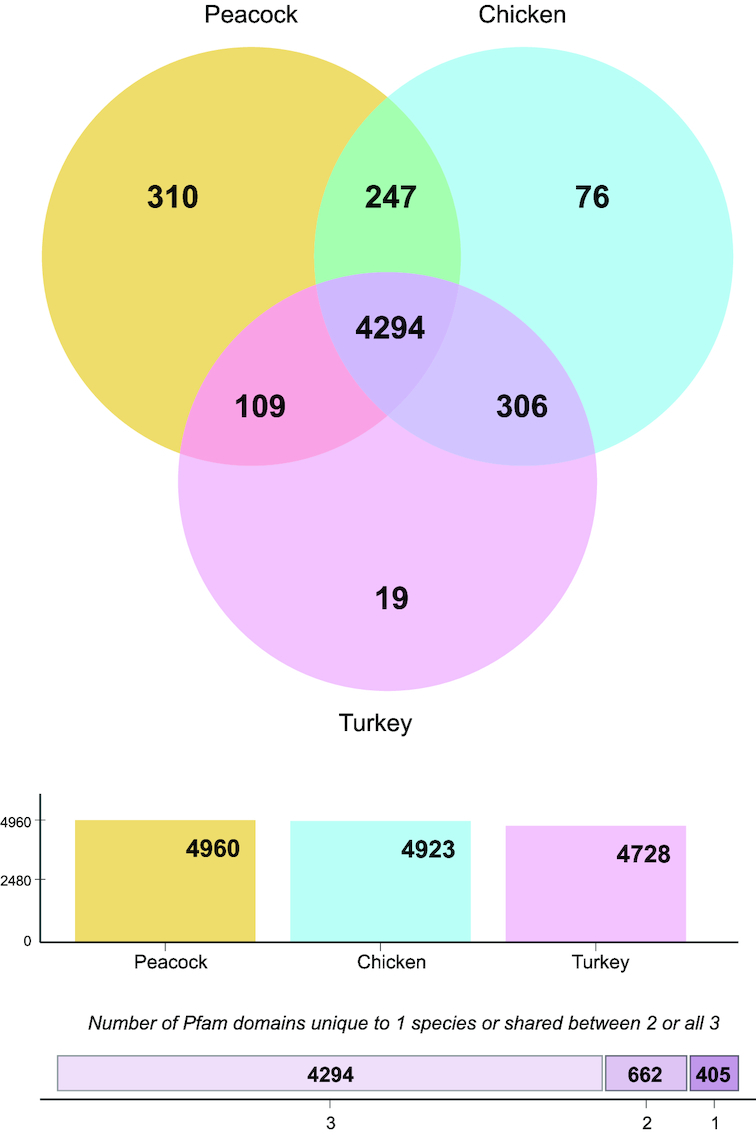 Figure 5: