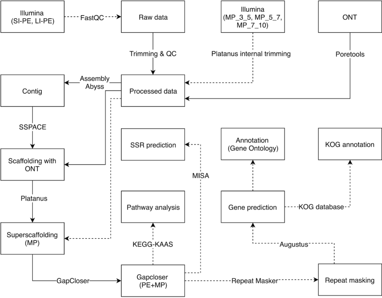 Figure 2: