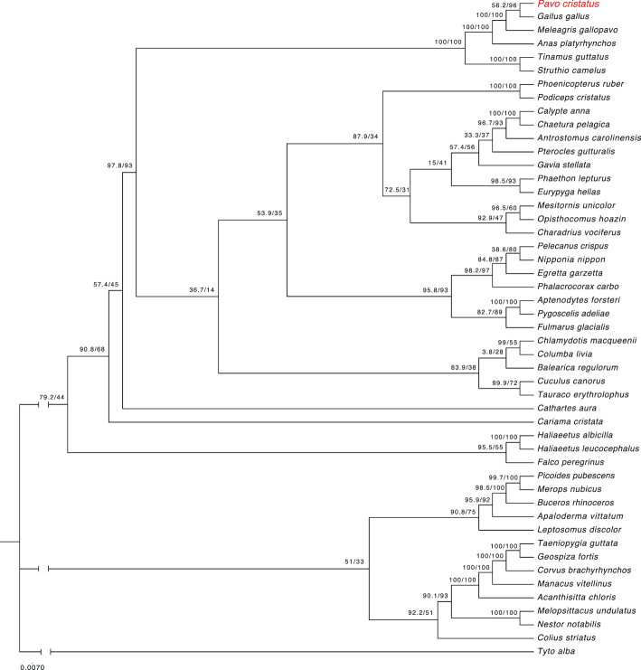 Figure 4: