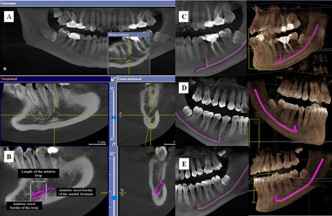 Figure 3.