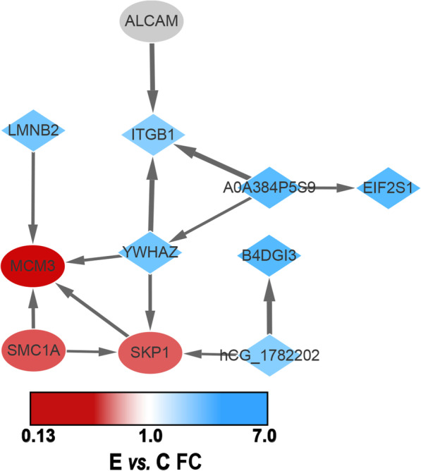 Fig. 4