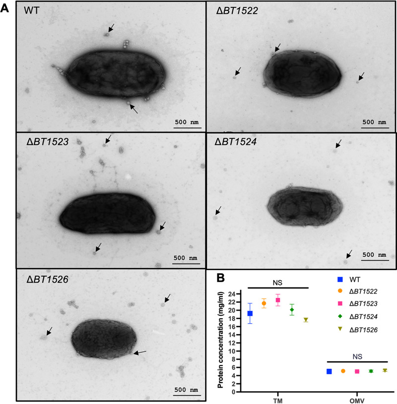 FIG 5