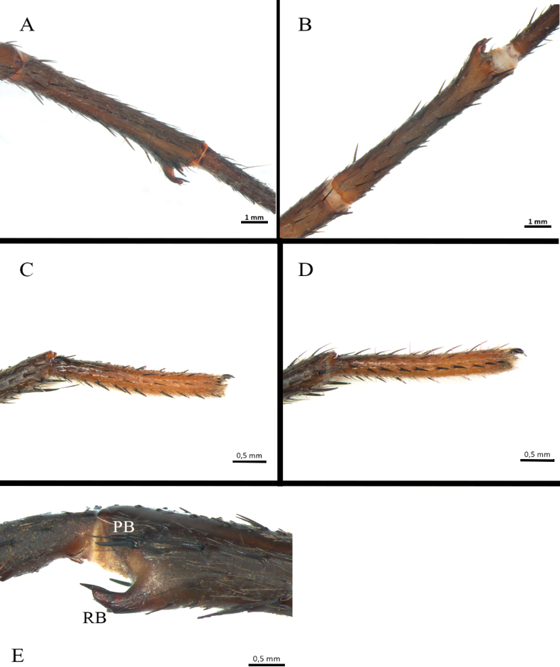 Figure 14.