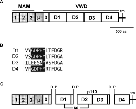 FIG. 6.