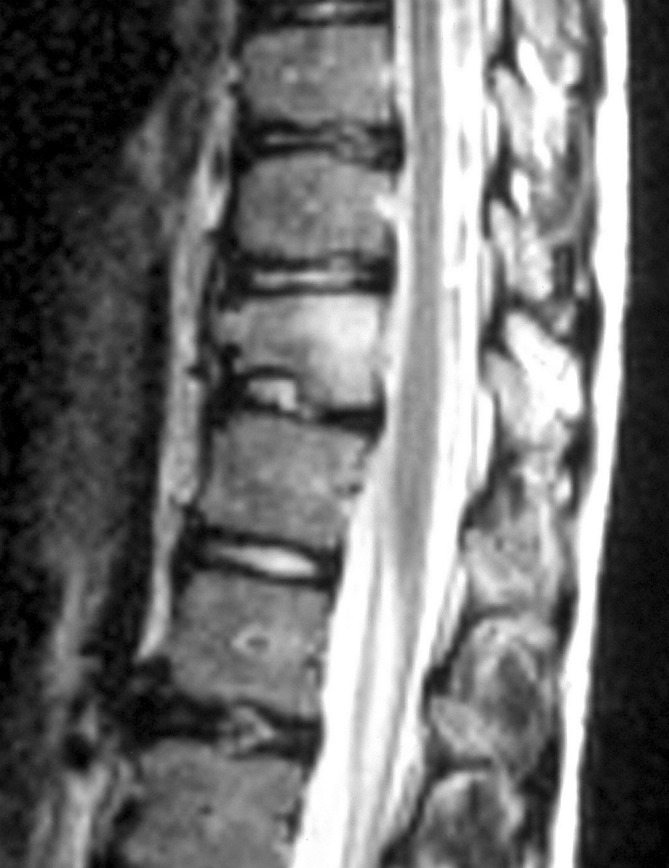 Fig. 5