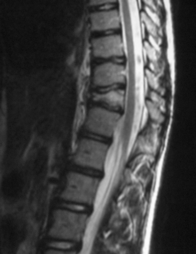 Fig. 6