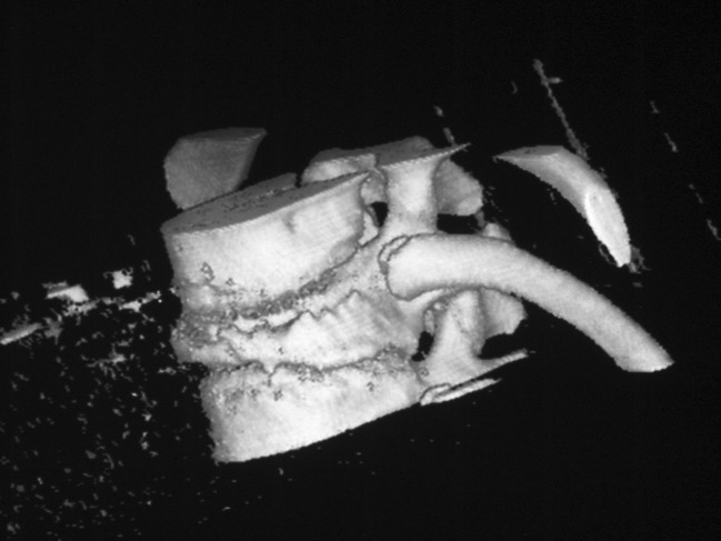 Fig. 8