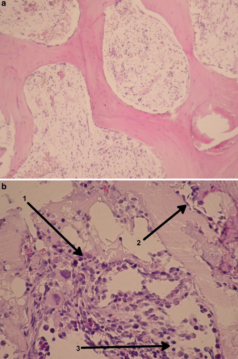 Fig. 9