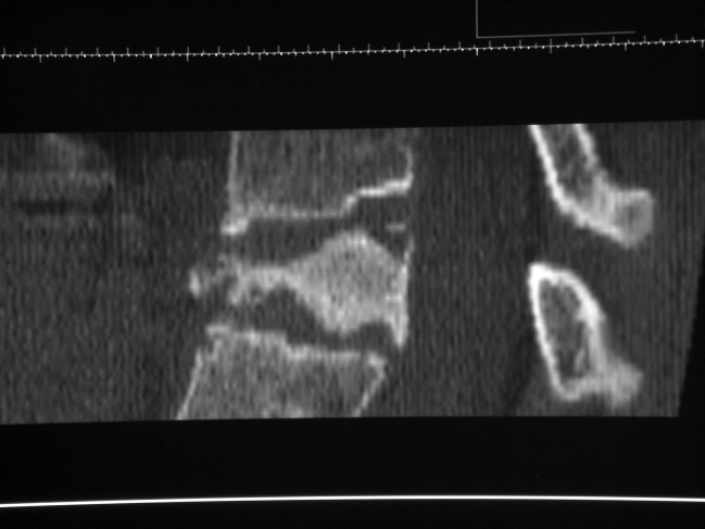 Fig. 7