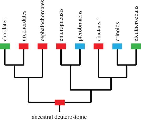 Figure 4.